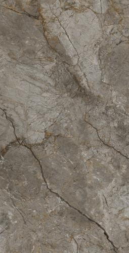 GMB15101佩普斯棕_03