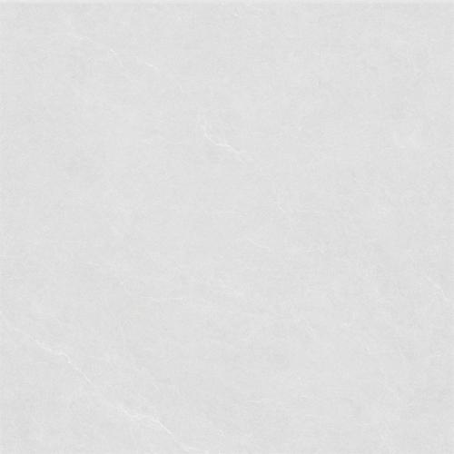 GMP88690-维罗娜-03