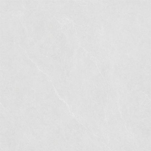 GMP88690-维罗娜-04