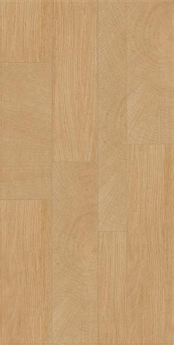 GMKG12616M栖橡丛林